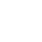 NGO Capacity Strengthening and Institutional Reform