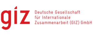 GIZ - logo